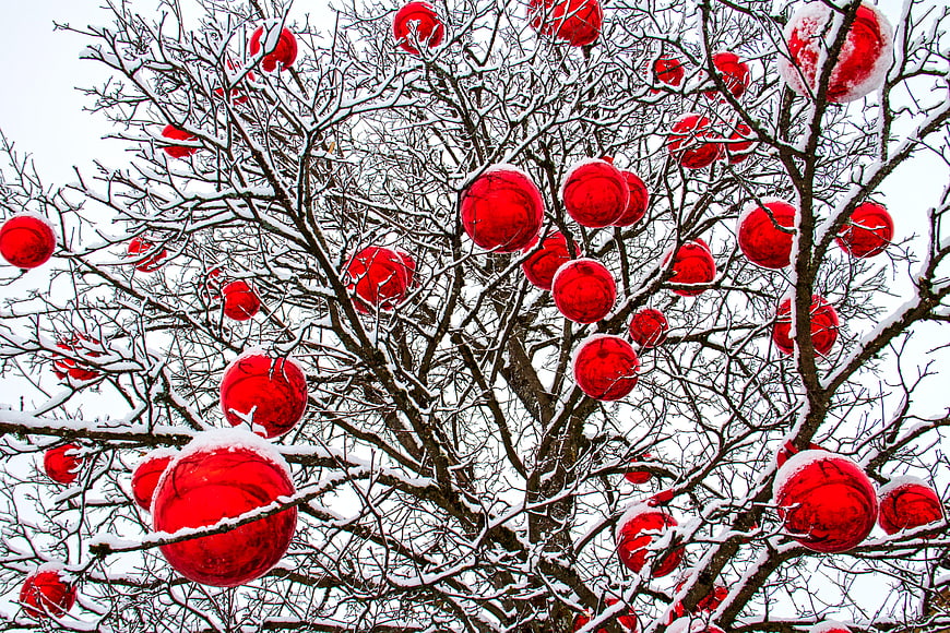 Red Christmas Ornaments Hanging on Snowy Winter Tree Branches