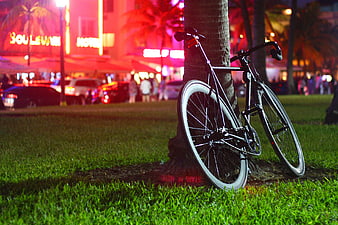 Black bicycle leaning against palm tree at night with neon lights
