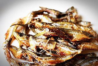 Crispy fried small fish on white plate