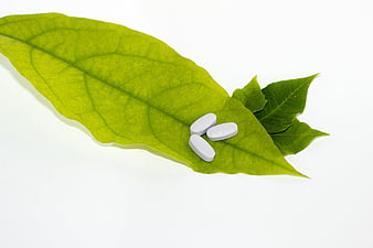 White pills on green leaf with white background