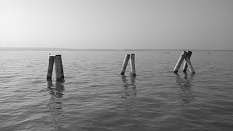 Black and white photo of wooden posts in calm lake water
