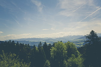 Scenic Mountain Landscape with Forest and Blue Sky