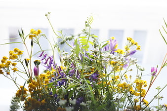 Colorful Wildflower Bouquet with Yellow and Purple Blooms
