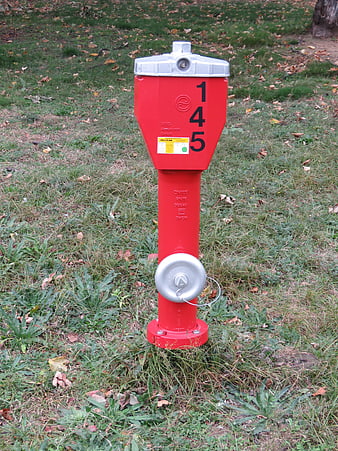 Red Fire Hydrant in Grassy Field with Fallen Leaves