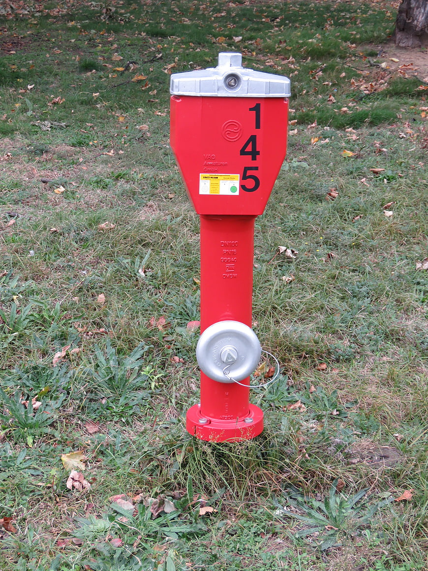 Red Fire Hydrant in Grassy Field with Fallen Leaves