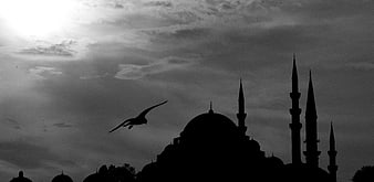 Silhouette of mosque with minarets and flying bird against cloudy sky