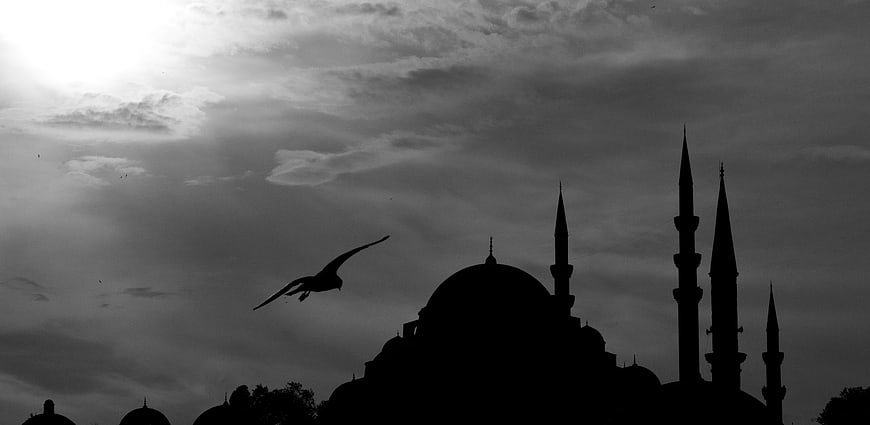 Silhouette of mosque with minarets and flying bird against cloudy sky
