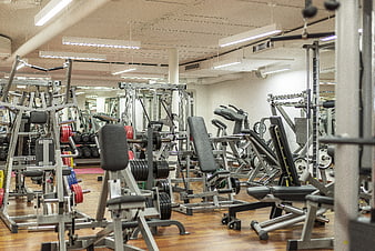 Empty Commercial Gym Interior With Weight Training Equipment