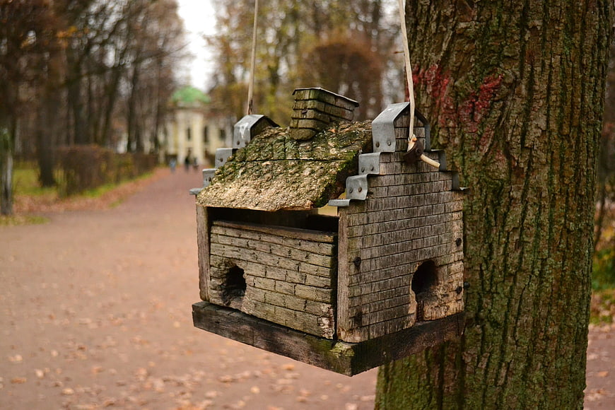 Rustic wooden birdhouse hanging on tree in autumn park