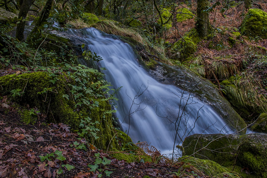 Serene Forest Waterfall with Mossy Rocks and Long Exposure