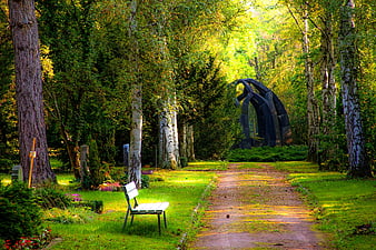 Peaceful Forest Cemetery Path with Bench and Sculpture