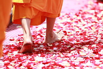 Barefoot Monk Walking on Red Rose Petals
