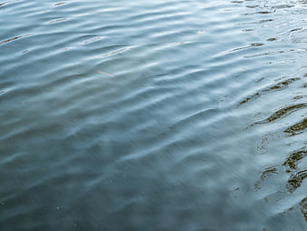 Calm Blue Water Surface with Gentle Ripples