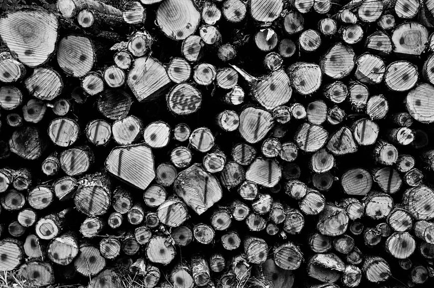 Black and White Pattern of Stacked Wood Logs