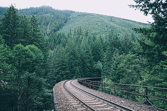 Curved railway tracks winding through dense green forest mountains