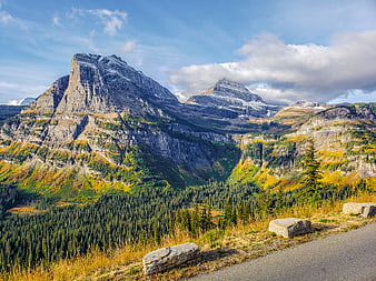 Scenic Mountain Road with Autumn Foliage and Pine Forest