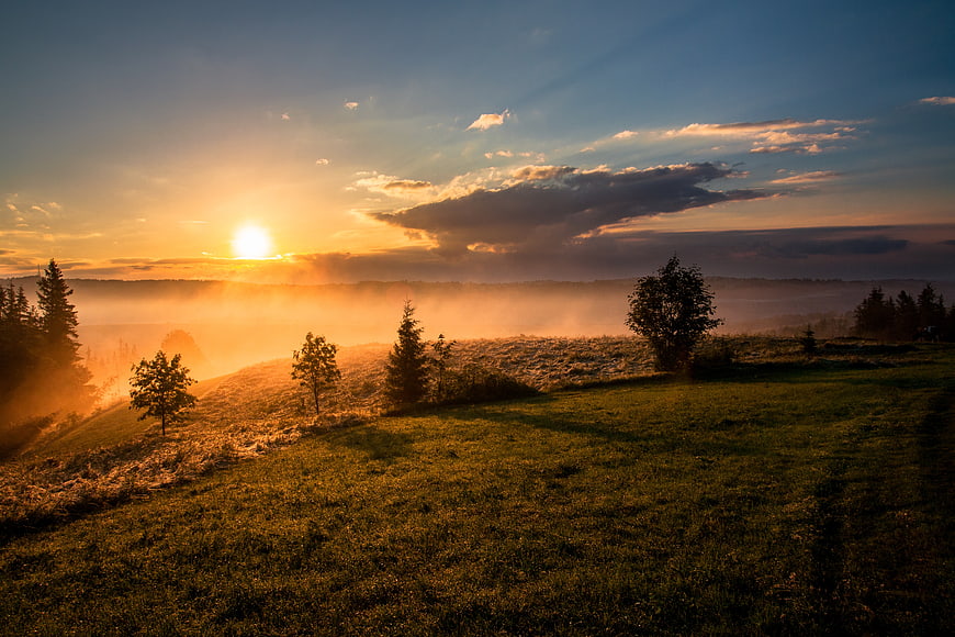 Misty Sunrise Over Rolling Green Hills and Trees