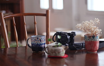 Camera and ceramic mugs on wooden table with dried flowers