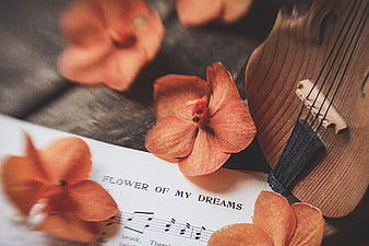 Vintage violin with orange orchids and sheet music