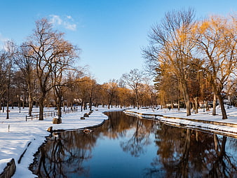 Serene Winter Park with Snowy Banks and River Reflections