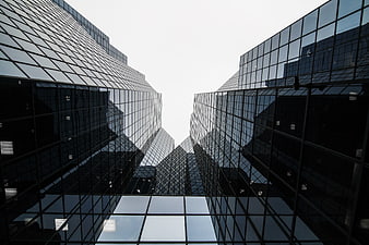 Low angle view of modern glass skyscrapers