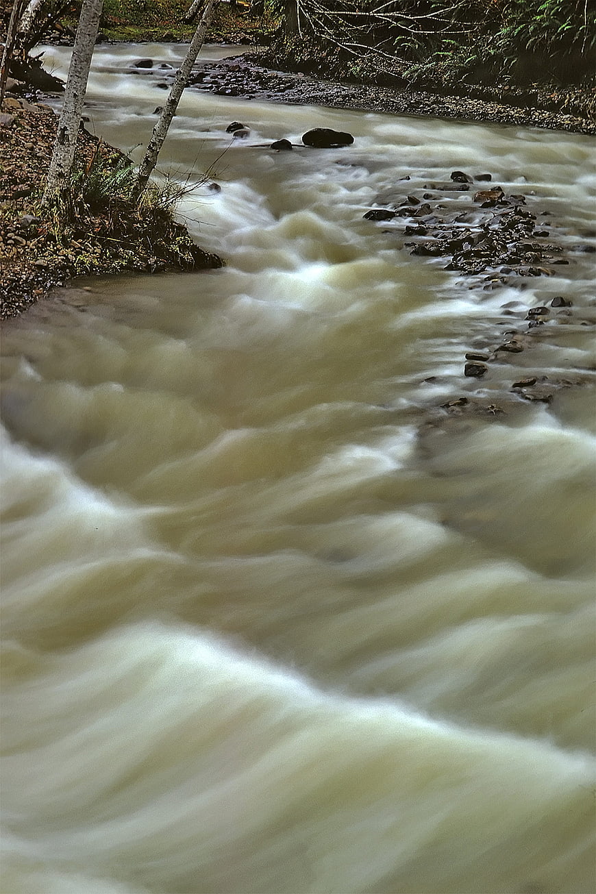 Long Exposure Flowing River in Forest