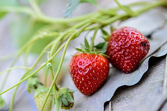 Fresh Ripe Strawberries on Wooden Surface Closeup