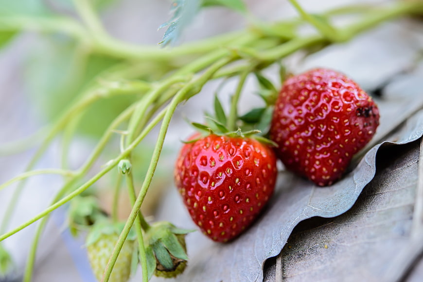 Fresh Ripe Strawberries on Wooden Surface Closeup