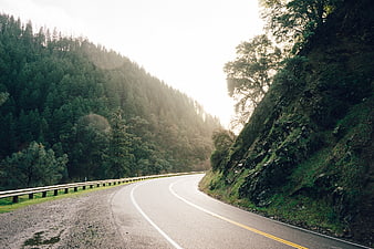 Winding Mountain Road Through Forest at Sunrise