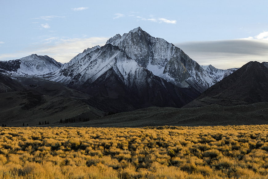 Snow-Capped Mountain Peak Above Golden Sagebrush Field