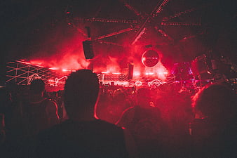 Crowd at red-lit electronic music festival party