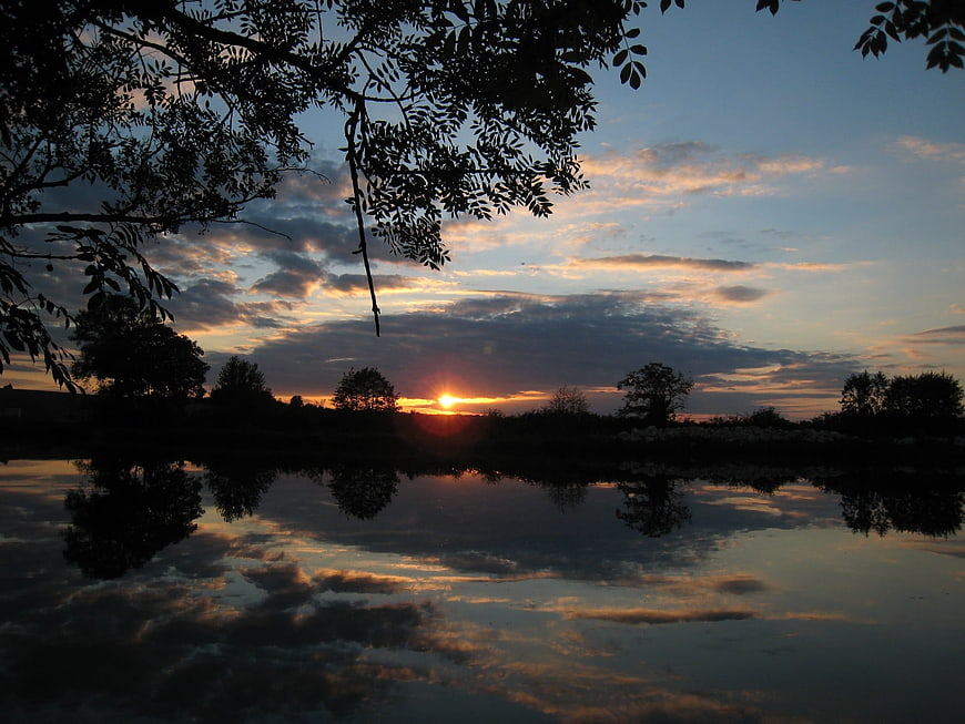 Serene sunset over river with tree silhouettes and reflection