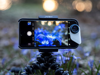 Smartphone with clip-on lens photographing blue spring flowers