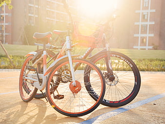 Two bicycles parked on a sunny campus path