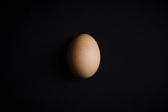 Single brown egg on black background