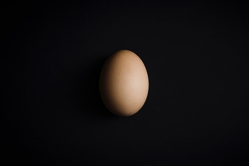 Single brown egg on black background