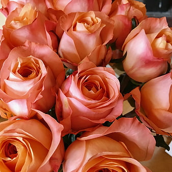 Close-up of vibrant peach and pink rose bouquet