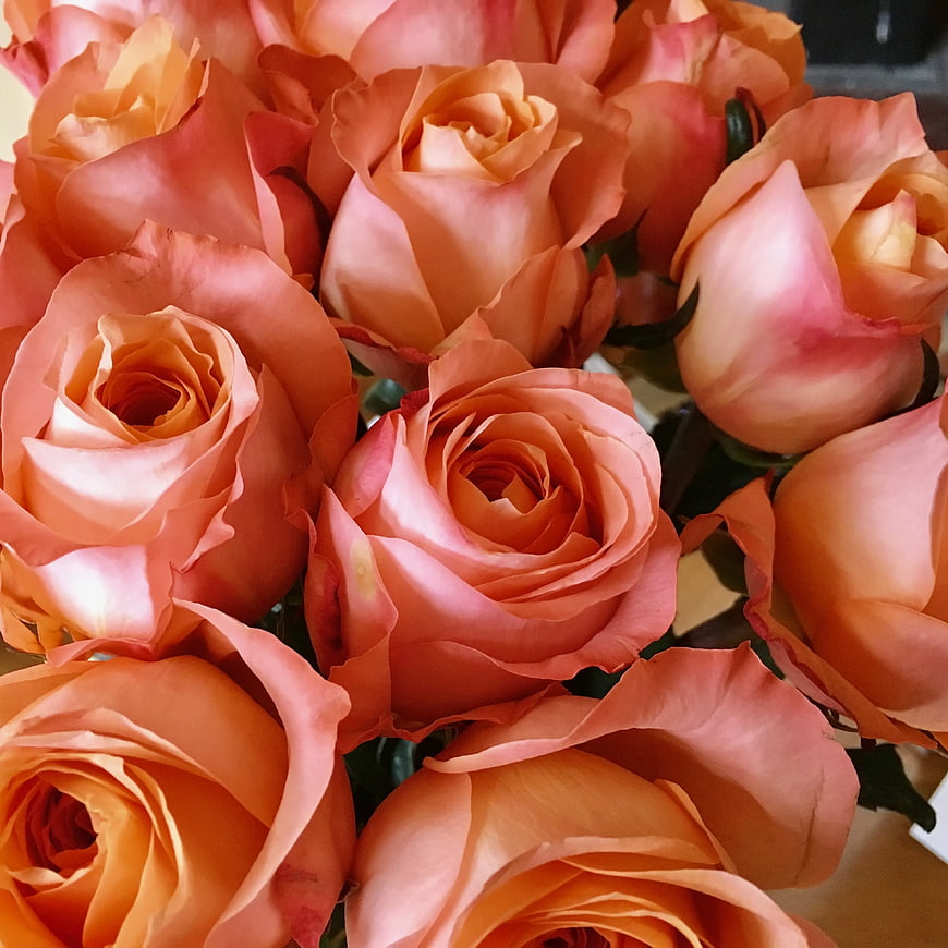 Close-up of vibrant peach and pink rose bouquet