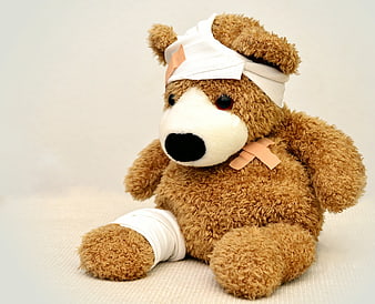 Injured teddy bear with bandages on head and leg