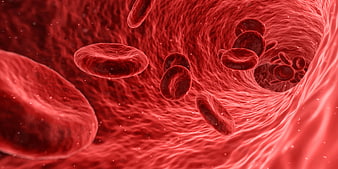 3D Illustration of Red Blood Cells Flowing Through an Artery