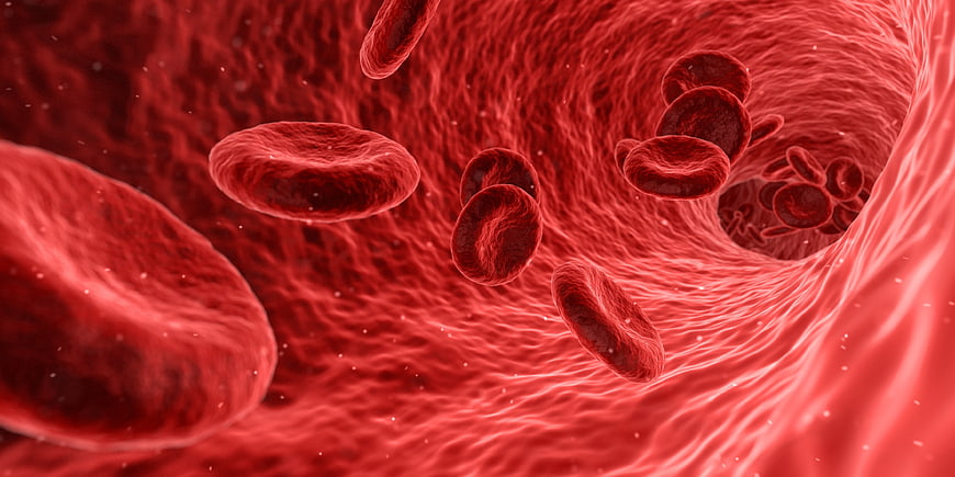 3D Illustration of Red Blood Cells Flowing Through an Artery