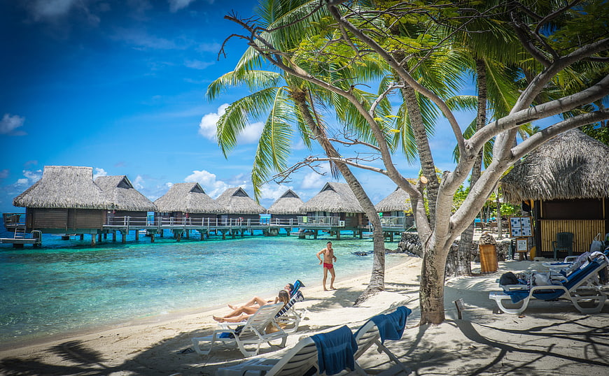 Tropical Bora Bora Beach with Overwater Bungalows and Palm Trees