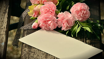 Pink Carnations and Blank Card on Rustic Wooden Bench