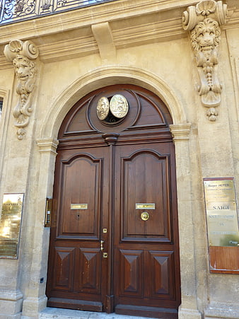 Ornate wooden double door with stone lion heads in Aix-en-Provence