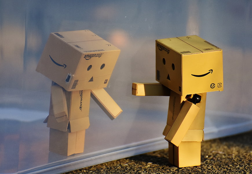 Cardboard Danbo Figure Looking at Reflection in Window