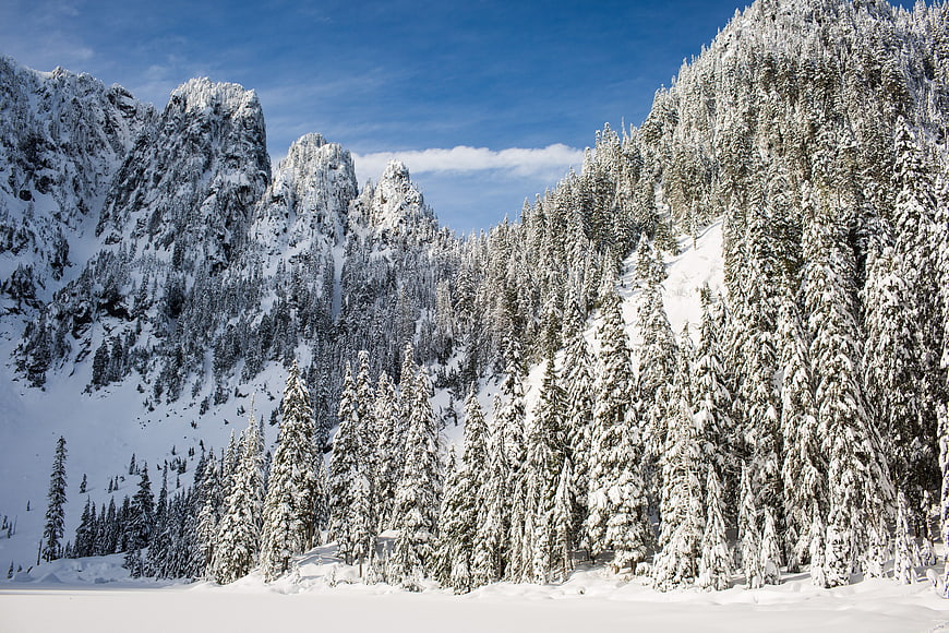 Snow-covered mountain peaks and pine forest in winter