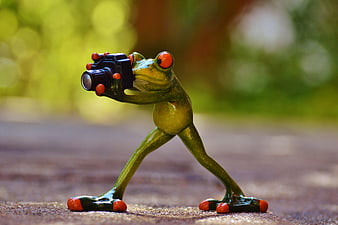 Toy Red-Eyed Tree Frog Holding Camera