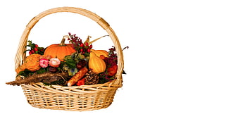 Autumn Harvest Basket with Pumpkins and Gourds on White