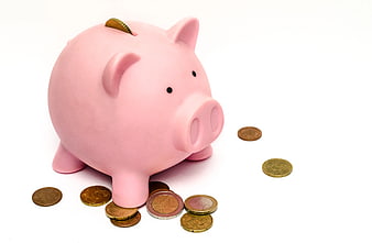 Pink Piggy Bank with Euro Coins on White Background