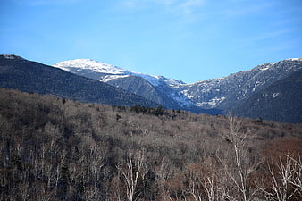 Snow-Capped Mountains Rising Above Bare Winter Forest